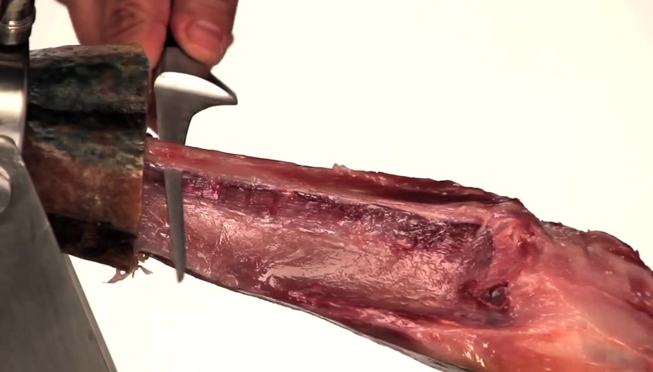 Despegar la tibia del jamón