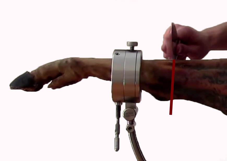 Corte circular del jamón