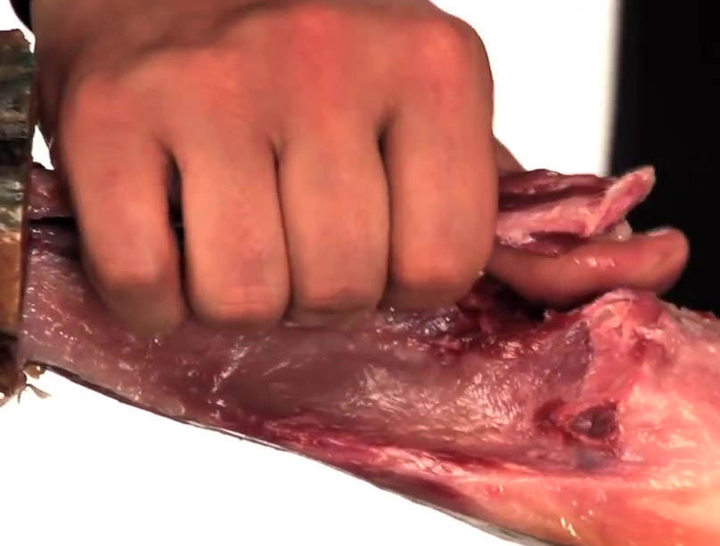 Romper la tibia del jamón